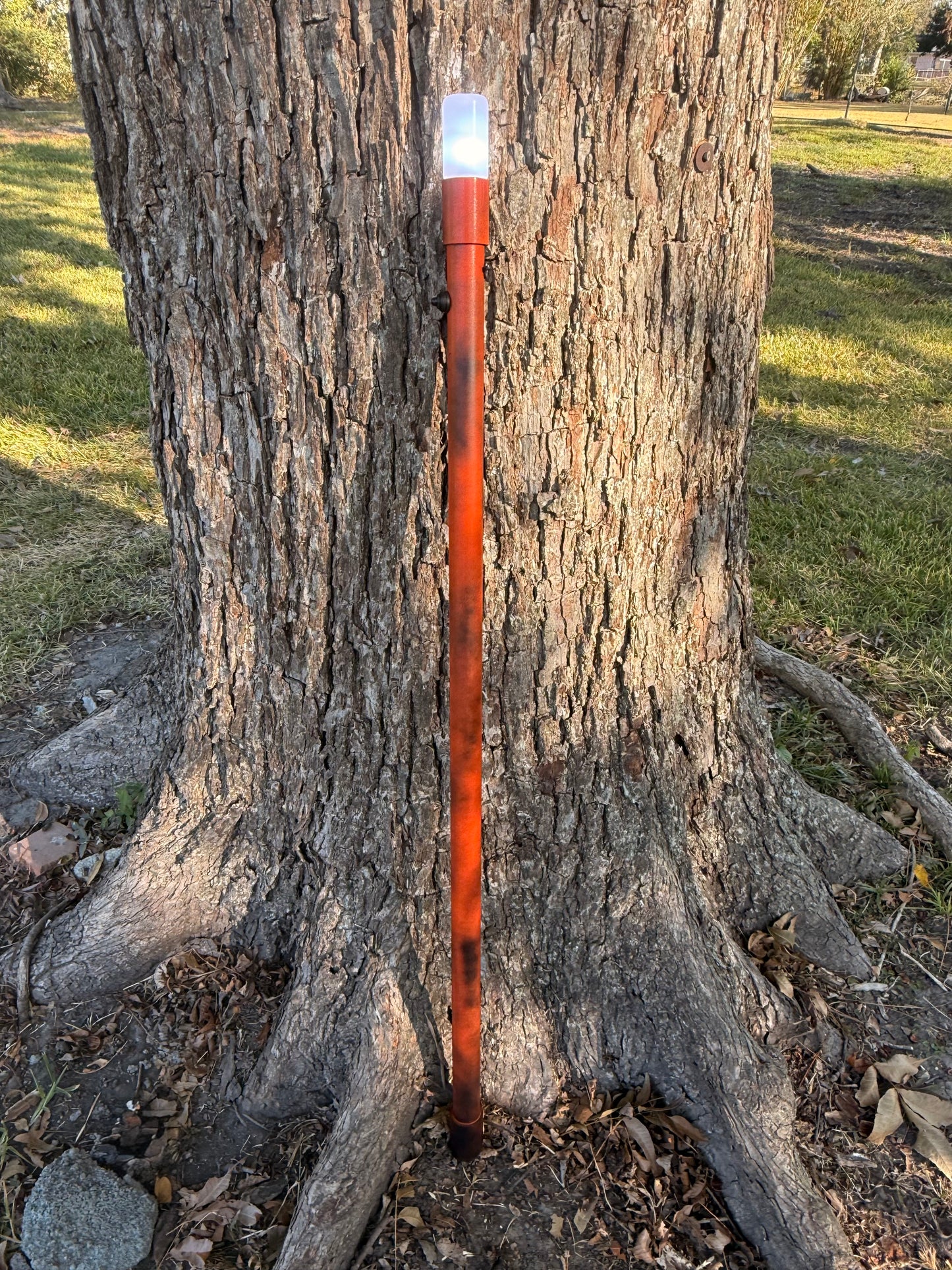 Custom TS Coastal Light