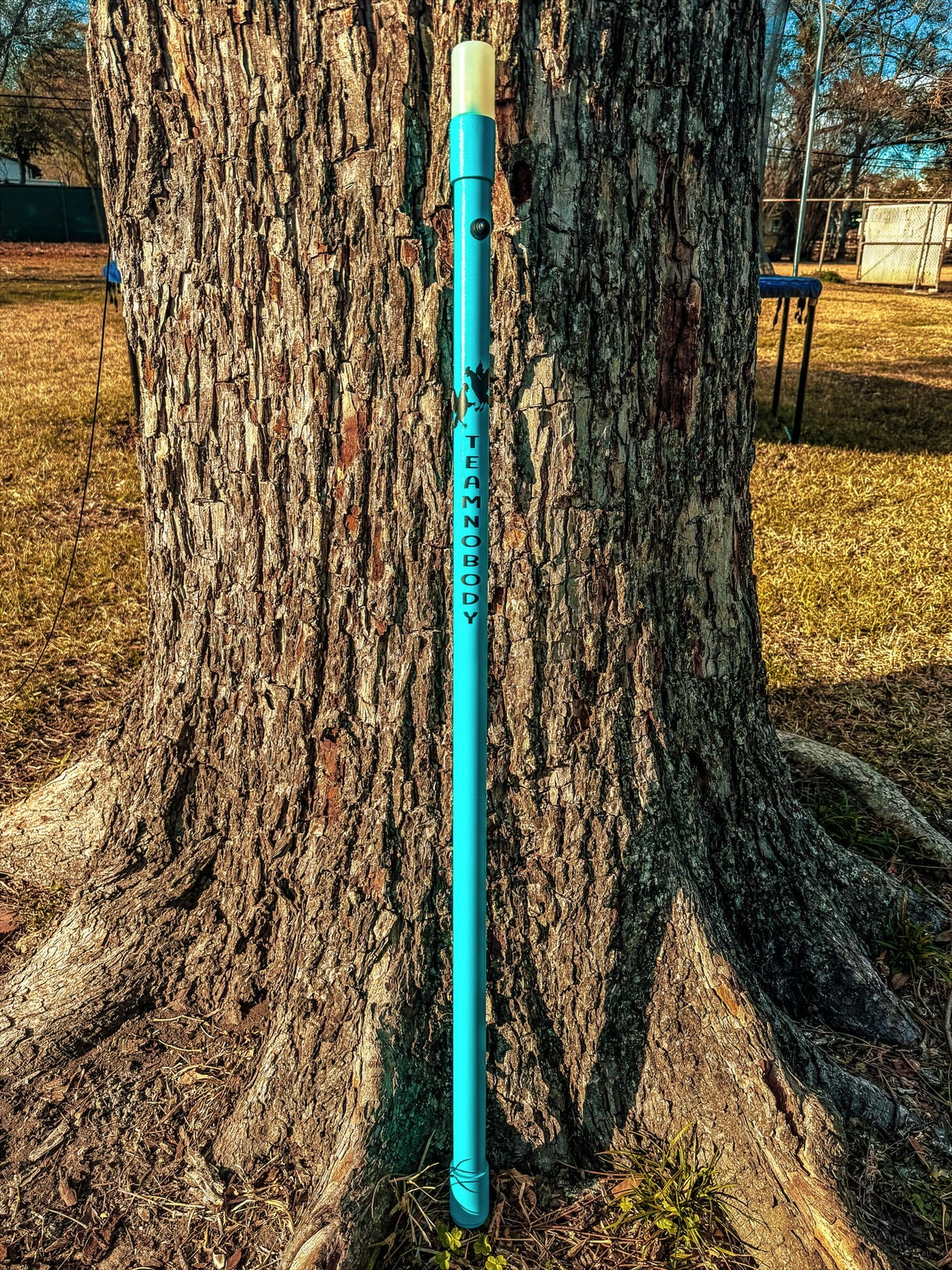 Custom TS Coastal Light