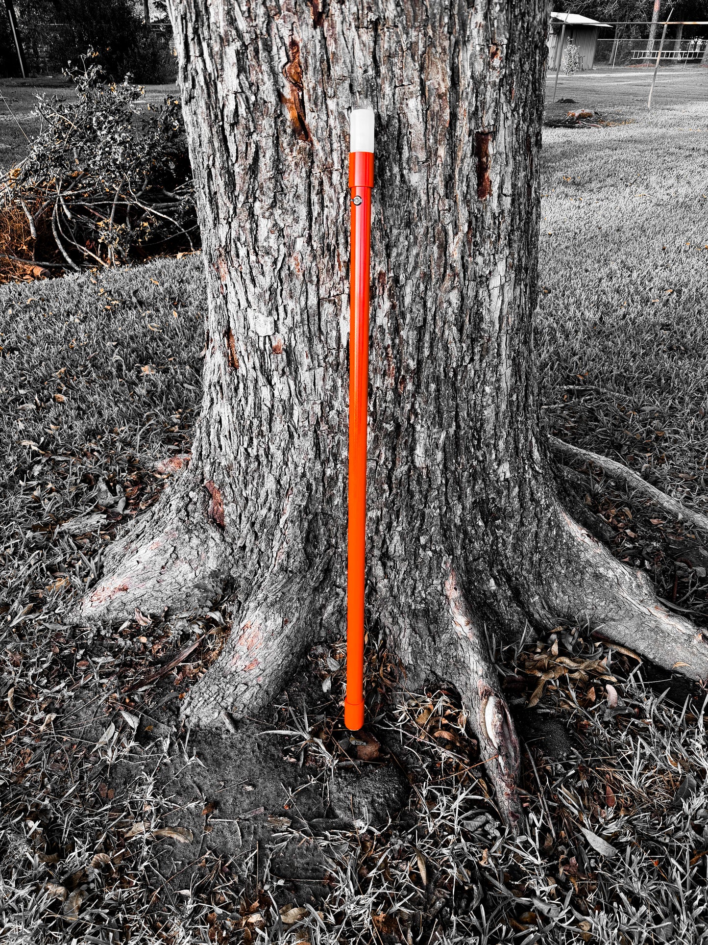 Custom TS Coastal Light